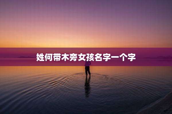 姓何带木旁女孩名字一个字