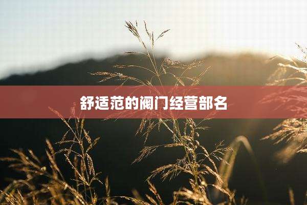 舒适范的阀门经营部名