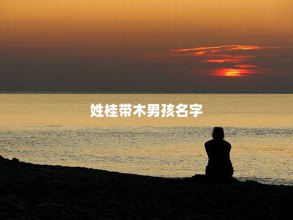 姓桂带木男孩名字