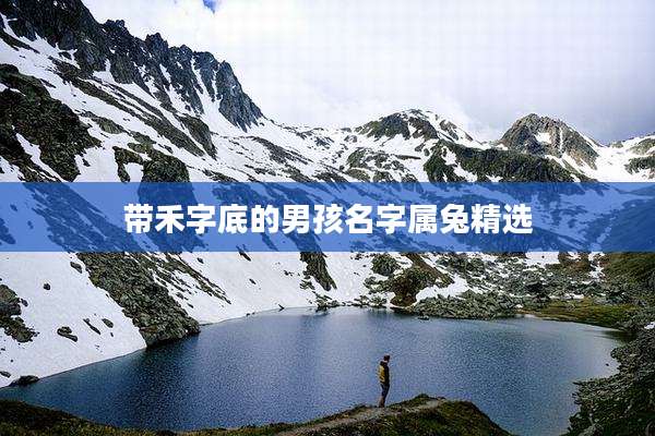 带禾字底的男孩名字属兔精选