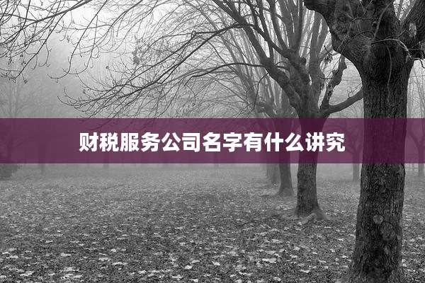 财税服务公司名字有什么讲究