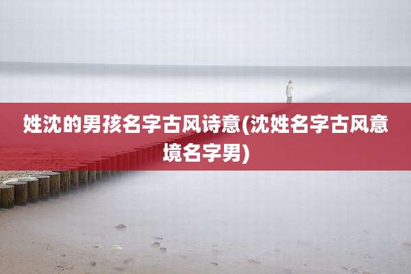 姓沈的男孩名字古风诗意(沈姓名字古风意境名字男)