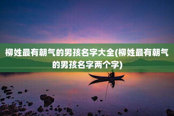 柳姓最有朝气的男孩名字大全(柳姓最有朝气的男孩名字两个字)