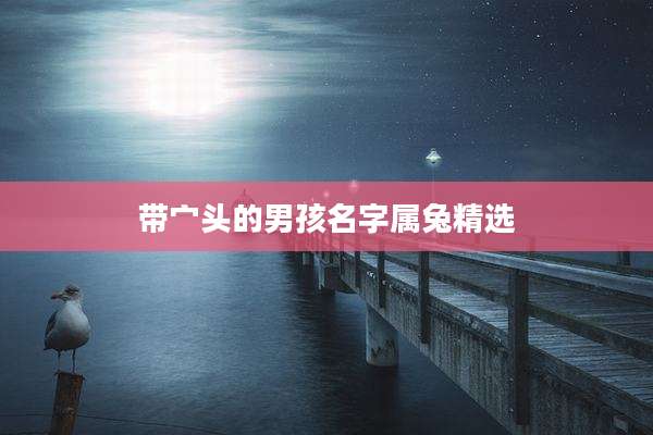 带宀头的男孩名字属兔精选