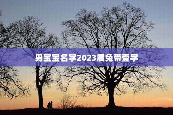 男宝宝名字2023属兔带壹字