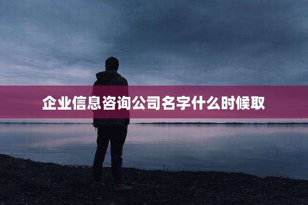 企业信息咨询公司名字什么时候取