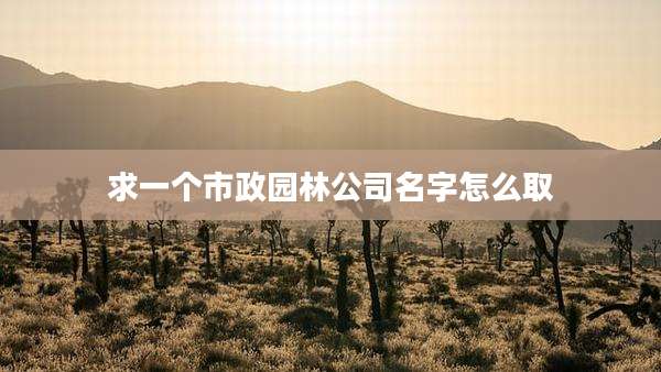 求一个市政园林公司名字怎么取