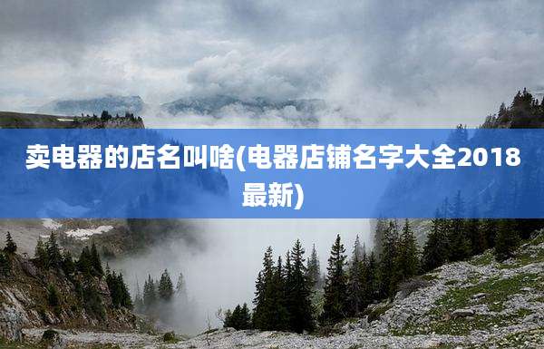 卖电器的店名叫啥(电器店铺名字大全2018最新)