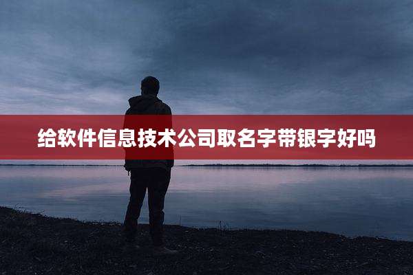 给软件信息技术公司取名字带银字好吗