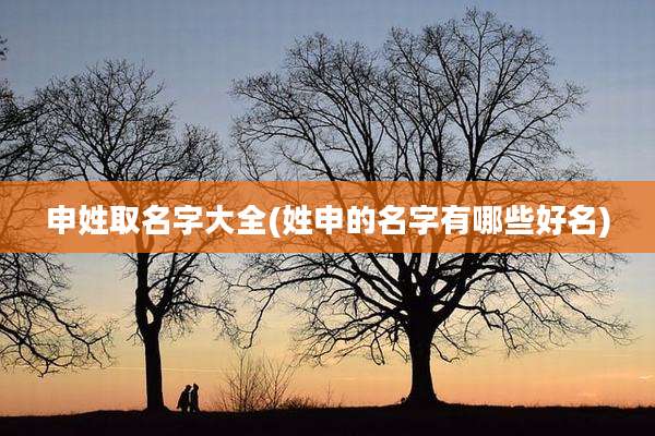 申姓取名字大全(姓申的名字有哪些好名)