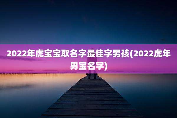 2022年虎宝宝取名字最佳字男孩(2022虎年男宝名字)