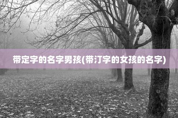 带定字的名字男孩(带汀字的女孩的名字)