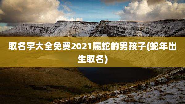 取名字大全免费2021属蛇的男孩子(蛇年出生取名)