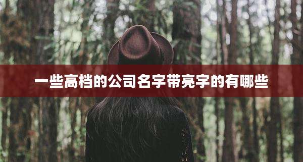 一些高档的公司名字带亮字的有哪些