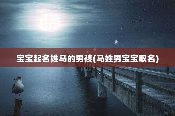宝宝起名姓马的男孩(马姓男宝宝取名)