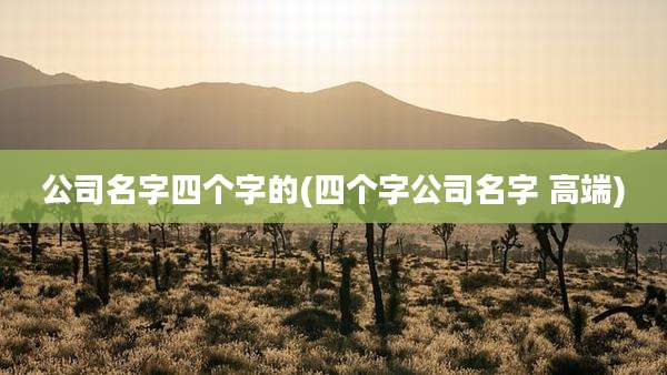公司名字四个字的(四个字公司名字 高端)