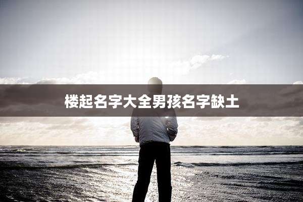 楼起名字大全男孩名字缺土