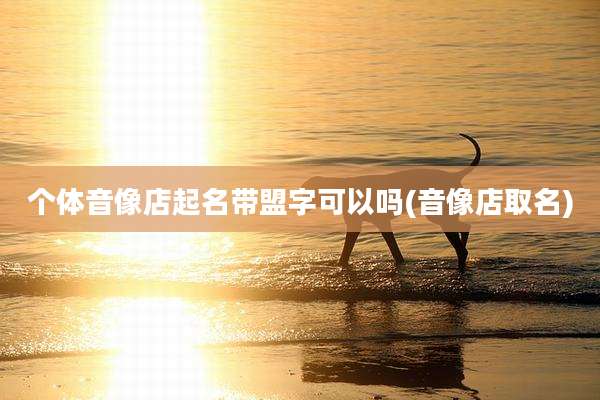 个体音像店起名带盟字可以吗(音像店取名)