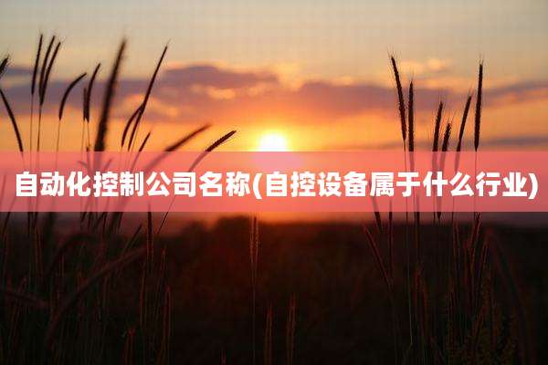 自动化控制公司名称(自控设备属于什么行业)