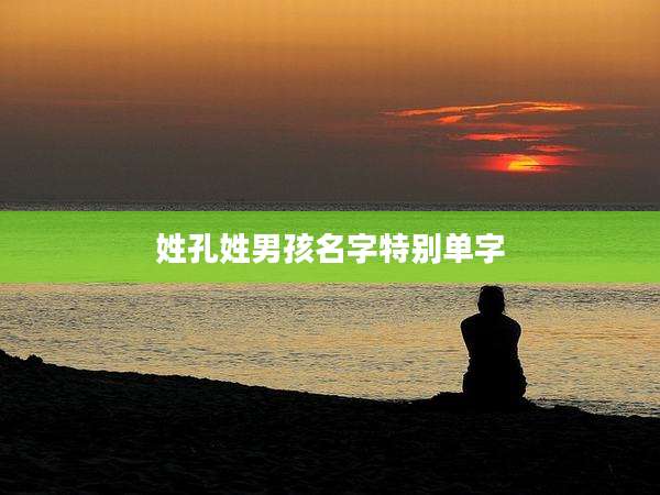 姓孔姓男孩名字特别单字