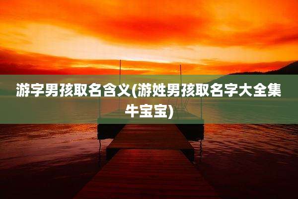 游字男孩取名含义(游姓男孩取名字大全集牛宝宝)