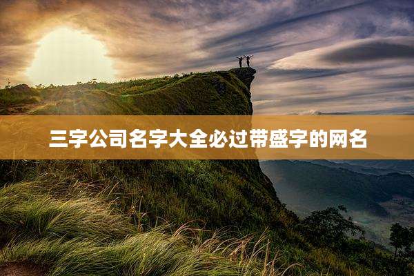 三字公司名字大全必过带盛字的网名