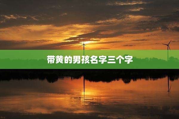 带黄的男孩名字三个字