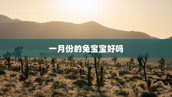一月份的兔宝宝好吗