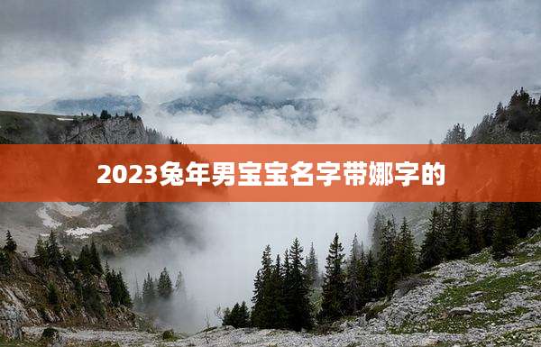 2023兔年男宝宝名字带娜字的