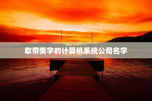 取带美字的计算机系统公司名字