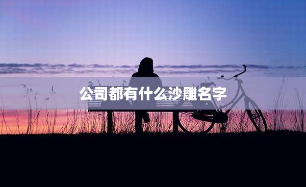 公司都有什么沙雕名字