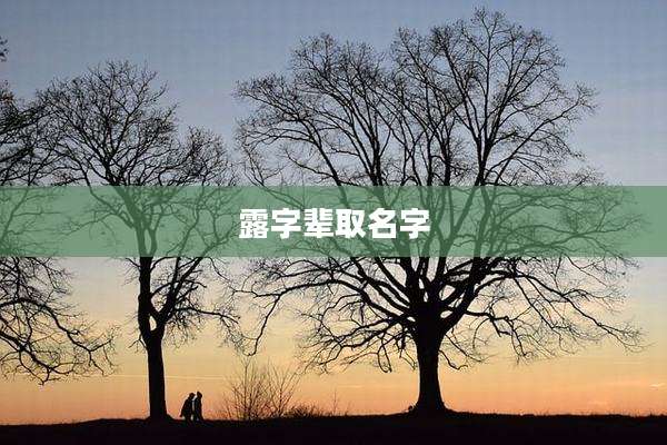 露字辈取名字