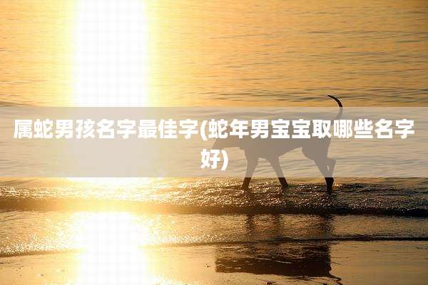 属蛇男孩名字最佳字(蛇年男宝宝取哪些名字好)