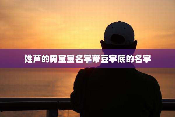 姓芦的男宝宝名字带豆字底的名字