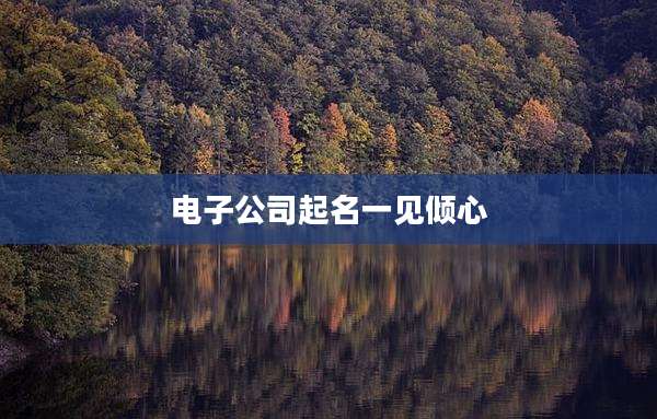 电子公司起名一见倾心