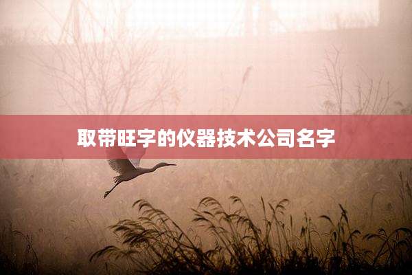 取带旺字的仪器技术公司名字
