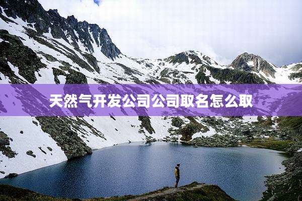 天然气开发公司公司取名怎么取