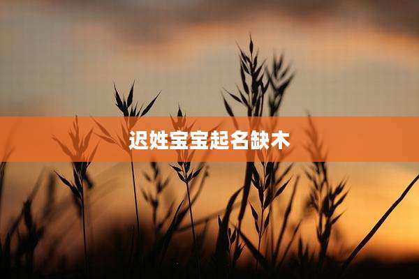 迟姓宝宝起名缺木