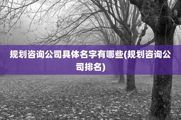 规划咨询公司具体名字有哪些(规划咨询公司排名)