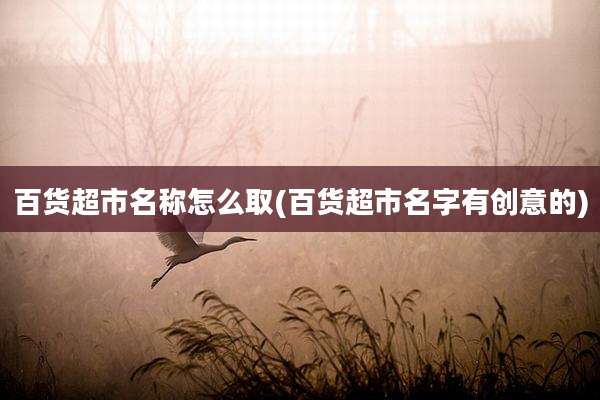 百货超市名称怎么取(百货超市名字有创意的)