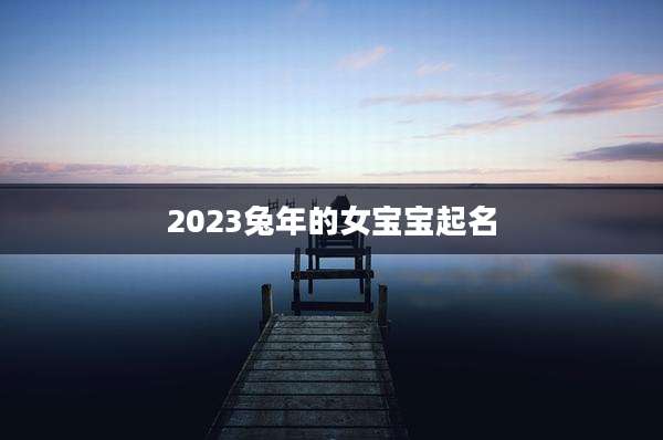 2023兔年的女宝宝起名