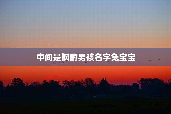 中间是枫的男孩名字兔宝宝
