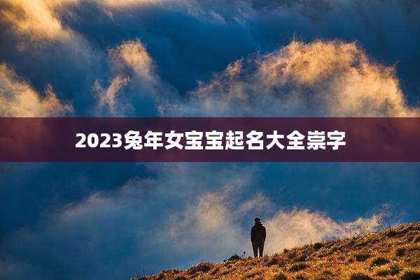2023兔年女宝宝起名大全崇字