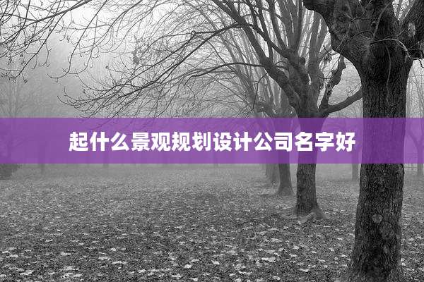 起什么景观规划设计公司名字好