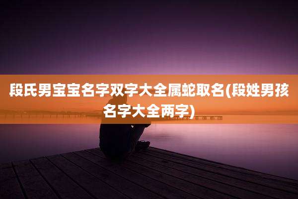 段氏男宝宝名字双字大全属蛇取名(段姓男孩名字大全两字)