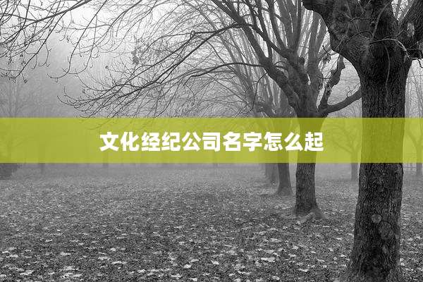 文化经纪公司名字怎么起