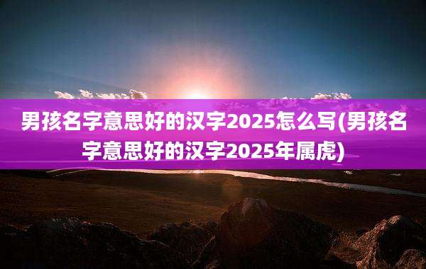 男孩名字意思好的汉字2025怎么写(男孩名字意思好的汉字2025年属虎)