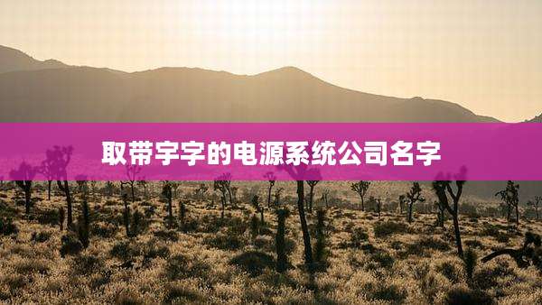 取带宇字的电源系统公司名字