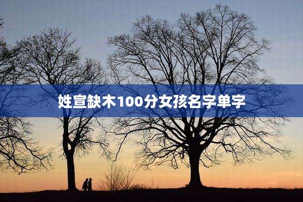 姓宣缺木100分女孩名字单字