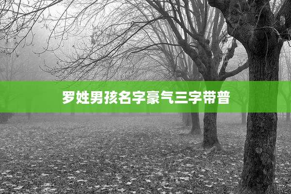 罗姓男孩名字豪气三字带普
